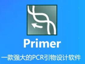 Primer Premier-PCR引物设计软件